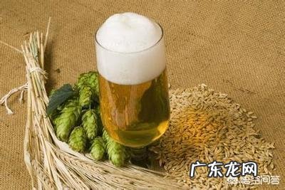 喝什么酒最容易导致发胖?