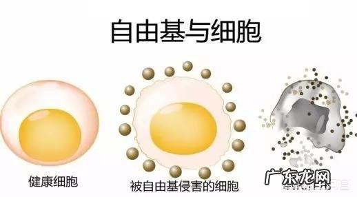 “抗初老”从多少岁开始是最合适的？要如何展开呢？