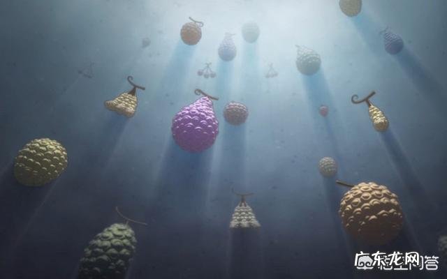 《海贼王》吃双果实会死是不是谎言?