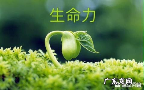 人的一生是钱重要还是命重要,为什么有些人不明白这个道理