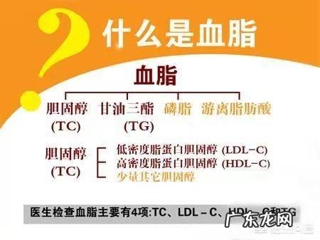 经常锻炼可以降低血脂吗,为什么