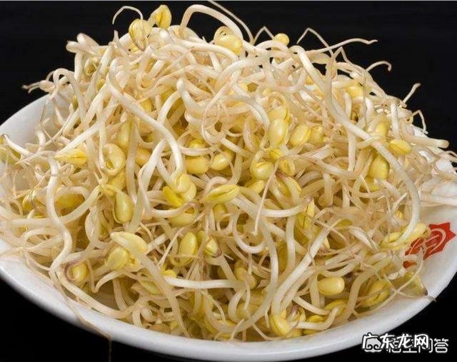 黄豆芽豆腐汤的做法有哪些?