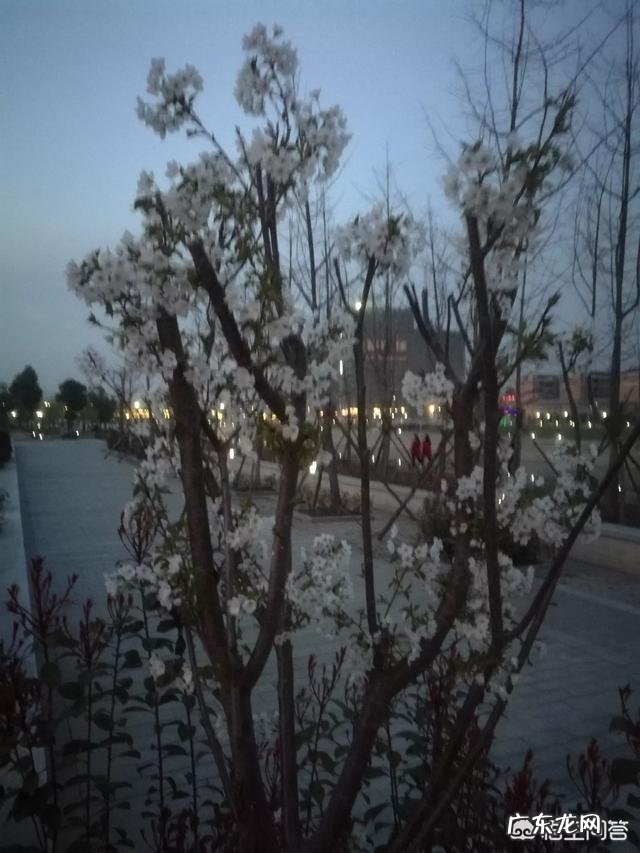 走路多长时间可以达到减肥的效果?