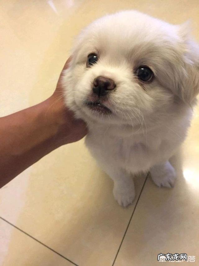 从小生活在单亲家庭的人,会有什么不同于常人的习惯