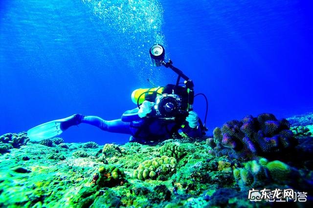 关于潜水有哪些需要注意的