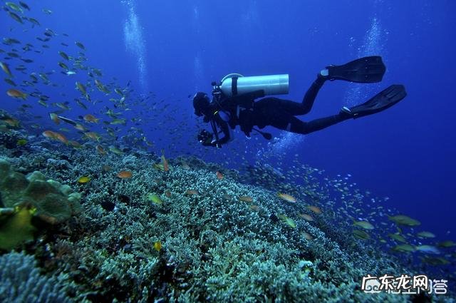 关于潜水有哪些需要注意的