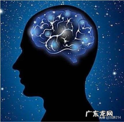 人大脑记忆的极限有多大,人脑能记住多少东西?