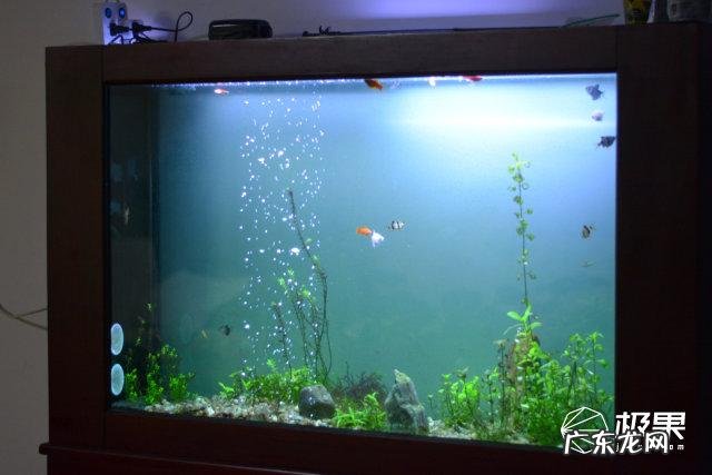 小米智能家居的质量怎么样,求推荐好用的小米家居?