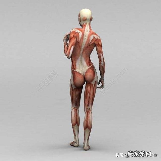 快五十岁的人皮肤慢慢松弛,怎样预防? 脸部皮肤松弛怎么紧致最快