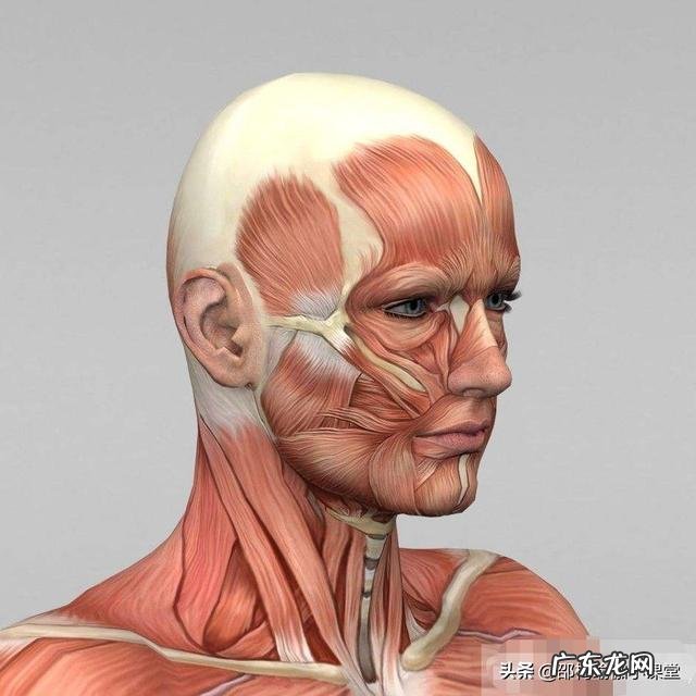 快五十岁的人皮肤慢慢松弛,怎样预防? 脸部皮肤松弛怎么紧致最快