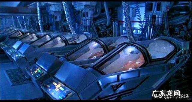 如果人类会冬眠,世界会是怎么样的