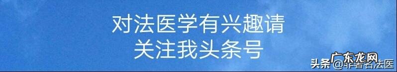 嵌合体胚胎的发生率有多大?有百分之五十吗?