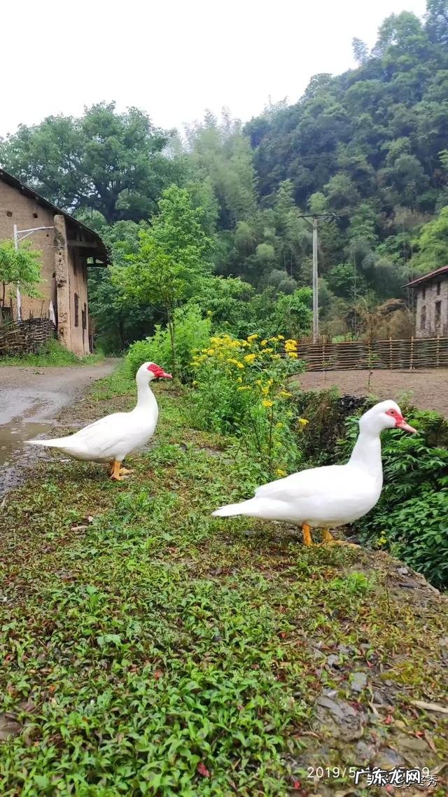 一个人为什么改掉一个坏习惯这么难?