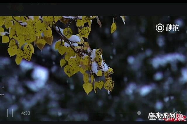 网上关于李子柒的信息都是真实的吗?