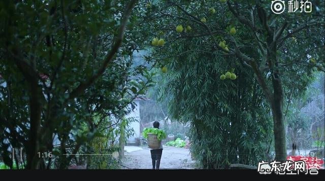 网上关于李子柒的信息都是真实的吗?