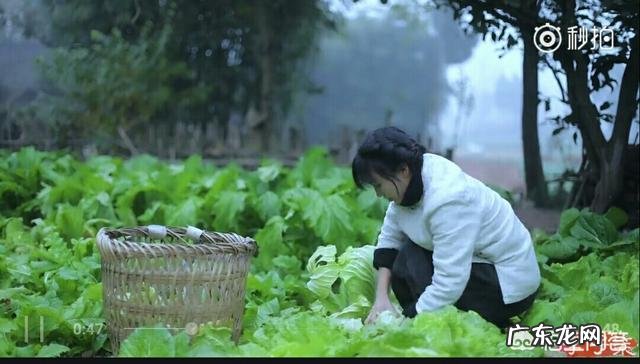 网上关于李子柒的信息都是真实的吗?