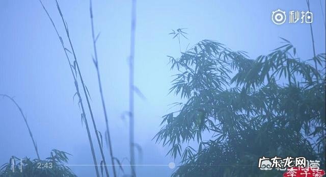 网上关于李子柒的信息都是真实的吗?