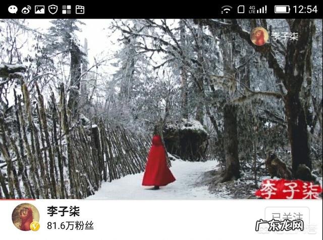 网上关于李子柒的信息都是真实的吗?