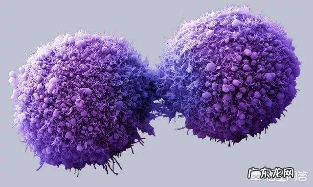 癌症患者少吃或不吃饮食，采用“饿死癌细胞”的方法有根据吗？