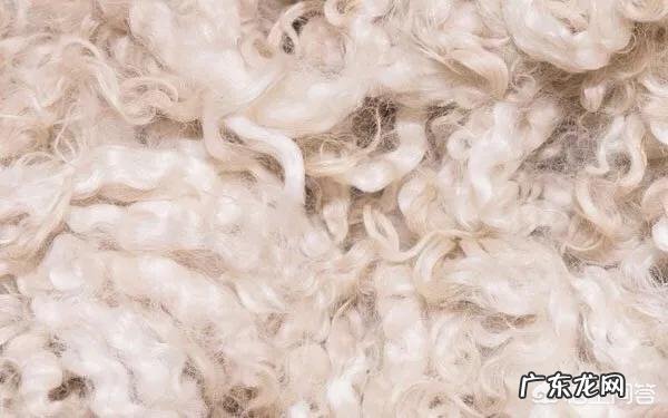 男士穿袜子,怎么与裤子和皮鞋搭配?