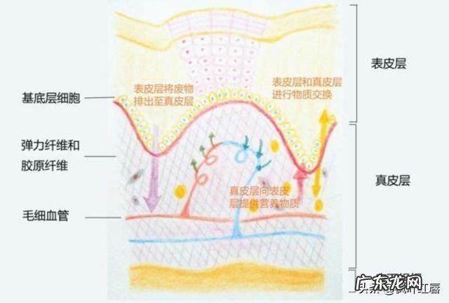 对于“运动是纯天然的护肤品”，你怎么看？