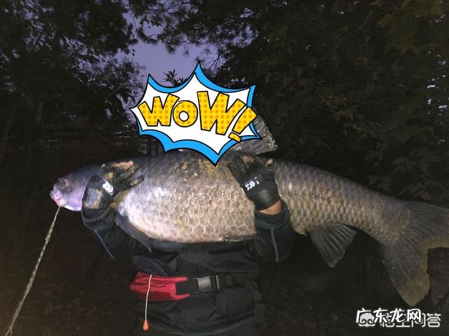 手工红薯粉怎样做出来才不会断?