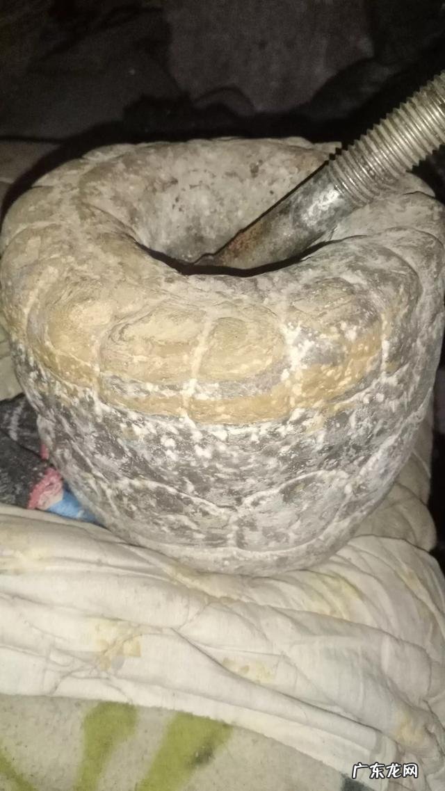 吃花生米有什么好处和坏处?