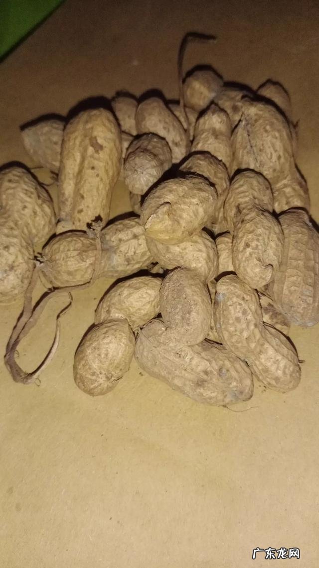 吃花生米有什么好处和坏处?