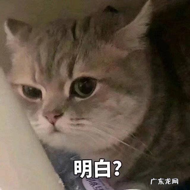 脱毛几次能彻底干净 脱毛一般多久干净