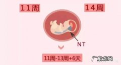 做了NT，检查正常，还需要做唐筛吗为什么