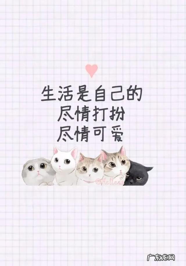 50岁男士单手用多少公斤哑铃合适