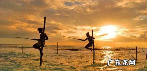 都说椰子油护肤好，好在哪里？