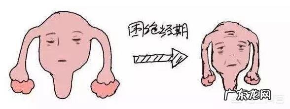 “更年期”反击战,更年期如何延缓衰老?