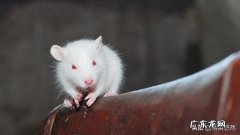 你还记得你小时候的生活吗，与现在相比有哪些变化