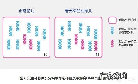 唐筛过了有必要做无创吗?