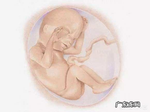 宝宝吃鱼肝油有什么利弊?