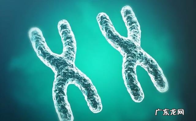 女儿十六岁发现她有腋臭该咋办 少女体毛重怎么治疗