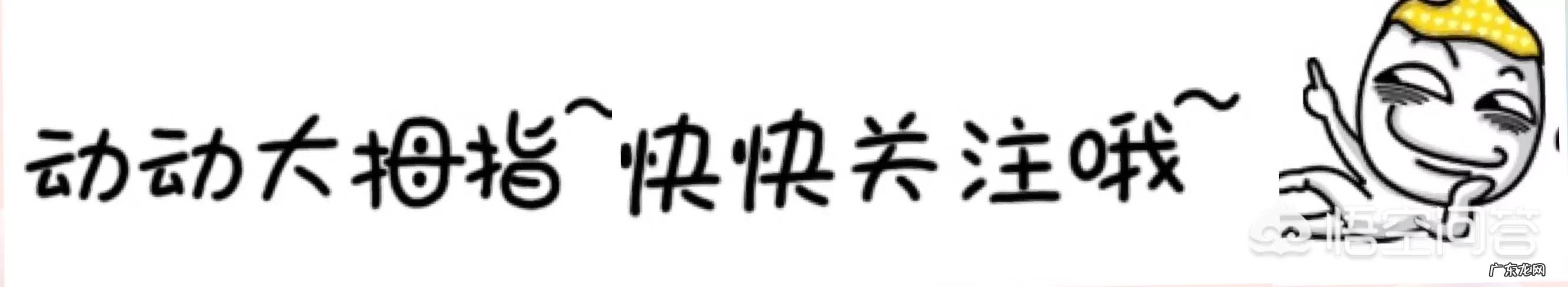 两个月大法斗,食欲精神都很好,但是突然腹泻怎么回事?