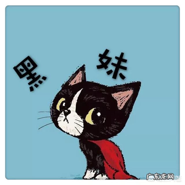 两个月大法斗,食欲精神都很好,但是突然腹泻怎么回事?