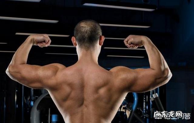 在家,怎样用20kg哑铃锻炼?