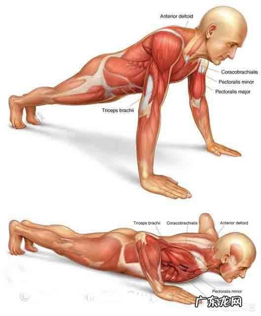 俯卧撑只能做十个标准的怎么办