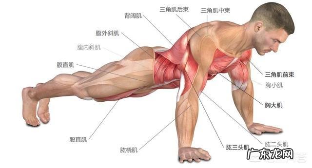 俯卧撑只能做十个标准的怎么办