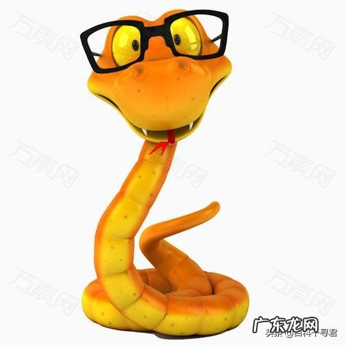 一只老母鸡最多能孵化多少个鸡蛋为什么