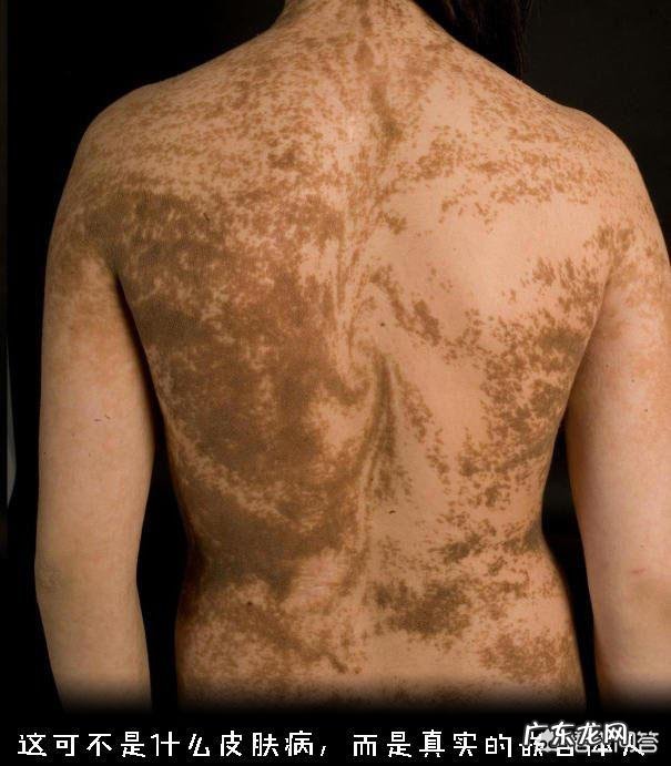 如何看待世界首例猪和猴杂交成功?未来真的可以突破基因吗?