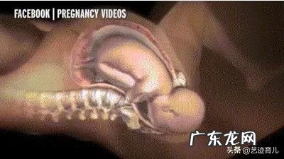 谢楠如何做到孕前孕后身材一样的？ 孕后身材走样