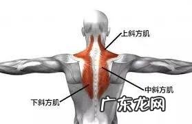 韩国搞笑瘦身操,每天 1 分钟,我居然真瘦了