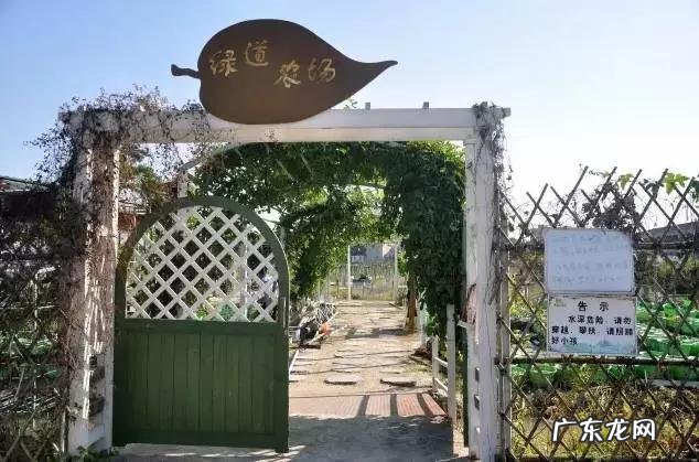 我没钱只买得起盗版书，这可耻吗？