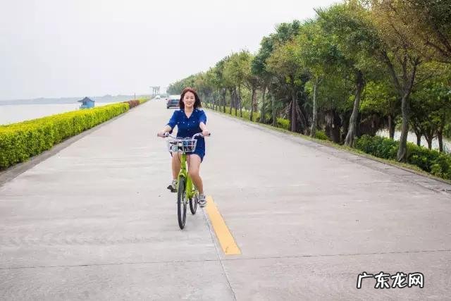 我没钱只买得起盗版书,这可耻吗?