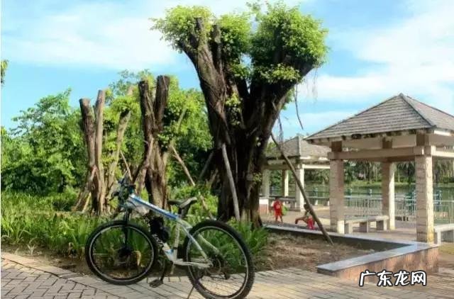 我没钱只买得起盗版书，这可耻吗？