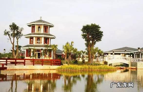 我没钱只买得起盗版书，这可耻吗？